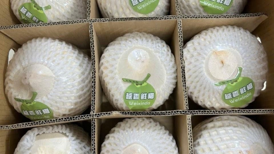 Nearly 22 tonnes of fresh coconuts exported to China via Bac Luan II border gate
